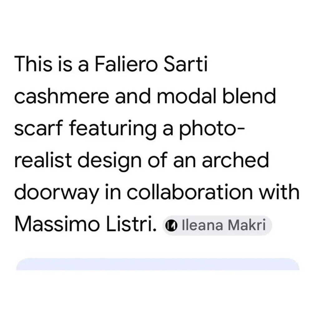 Faliero Sarti Massimo Listri Cashmere Modal Petrovsky Palace XL Art Scarf $359